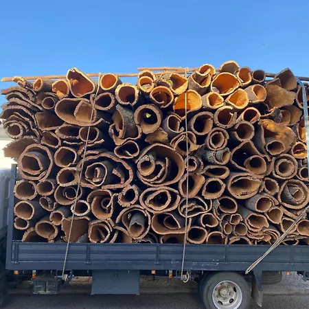 Monte Do Luar São Brás de Alportel