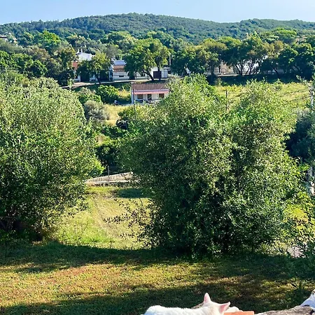 Bed & Breakfast Monte Do Luar